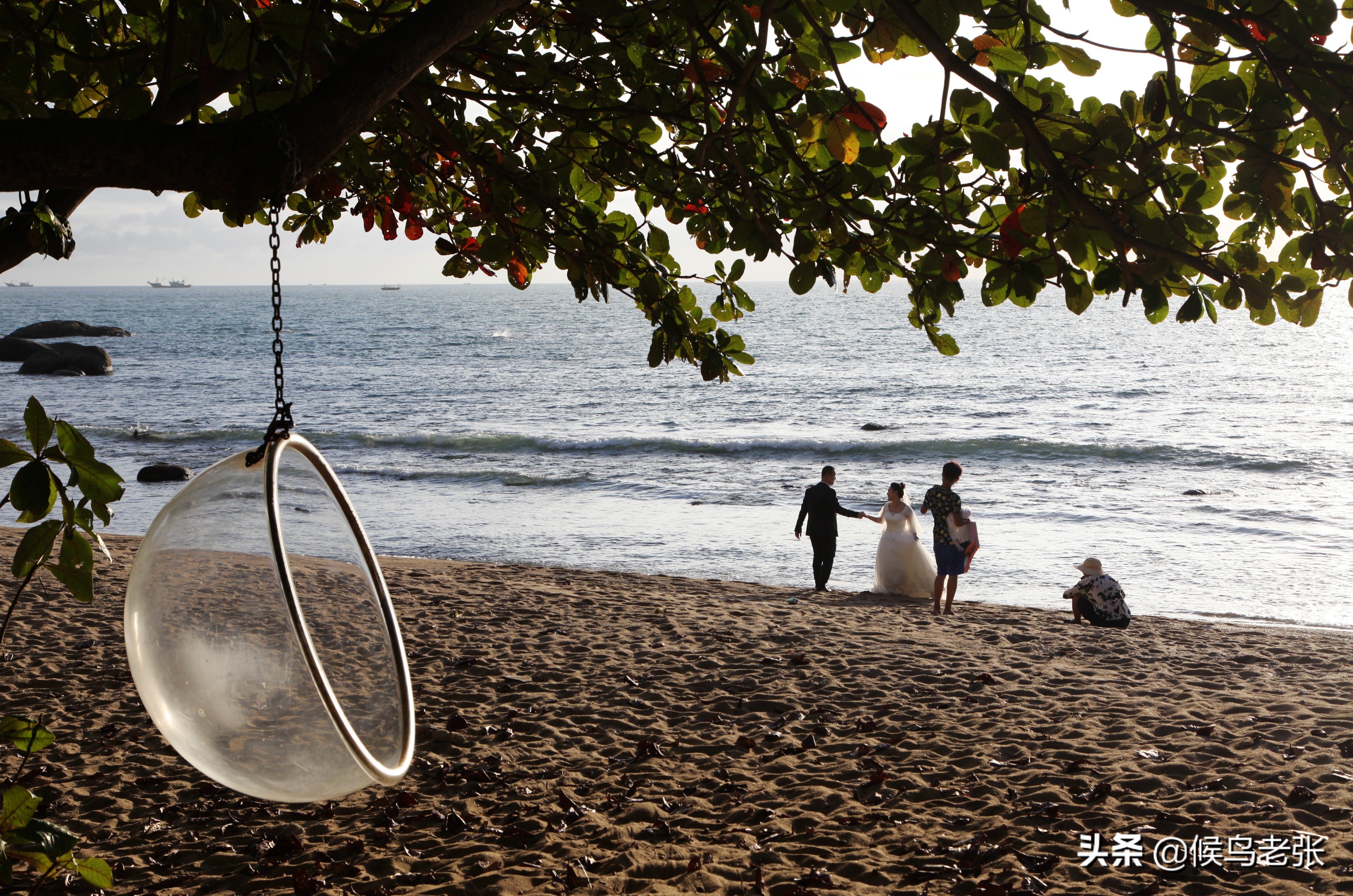 海南三亚的崖州湾已今非昔比,三亚崖州湾是个好地方吗