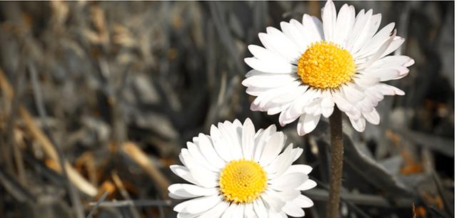 角质去得好，还你水润清透嫩白肌！小众也变“SK-II”！