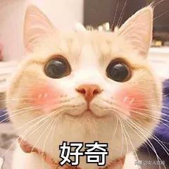 盆底肌松了做什么修复最有效果,产后盆底肌松了怎么办