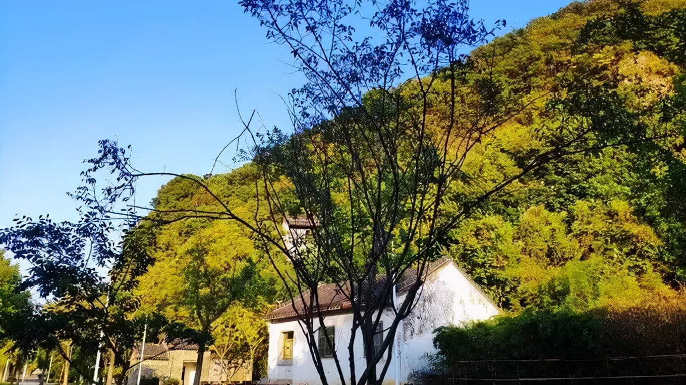 南京哪些景点春节免票,南京景点及门票优惠政策