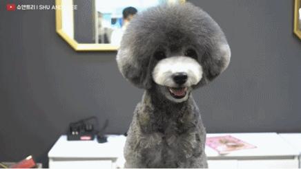 tony老师高阶换头术,90后tony老师换头术