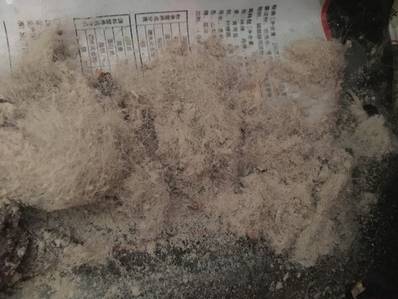 下雨天被子去螨虫的方法,春天天气潮湿怎么去螨虫