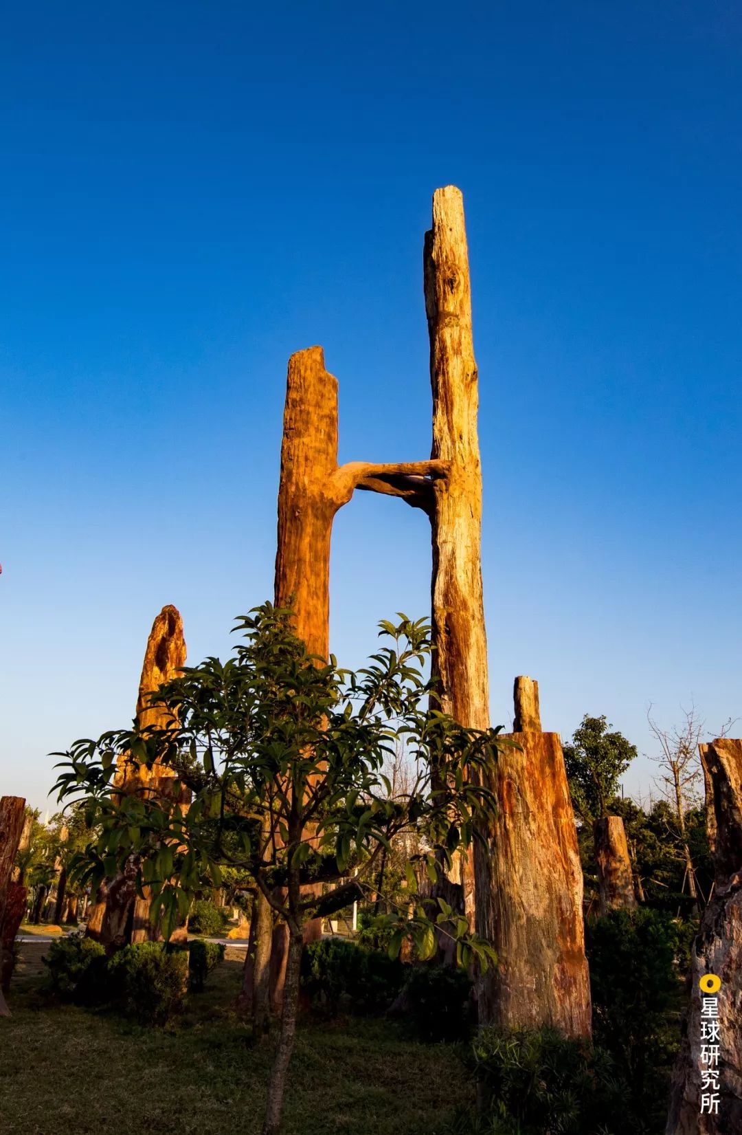 宜昌被低估的城市,湖北低估的旅游景点