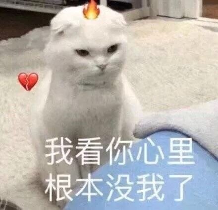 我只是个肥宅表情包,表情包我能插嘴吗