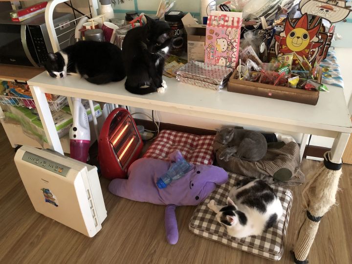 我在台湾找了几位当地人，聊了聊游戏和其他