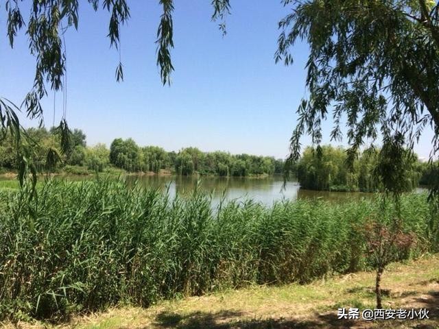 西安浐灞国家湿地公园招聘公告,西安浐灞国家湿地公园旅游