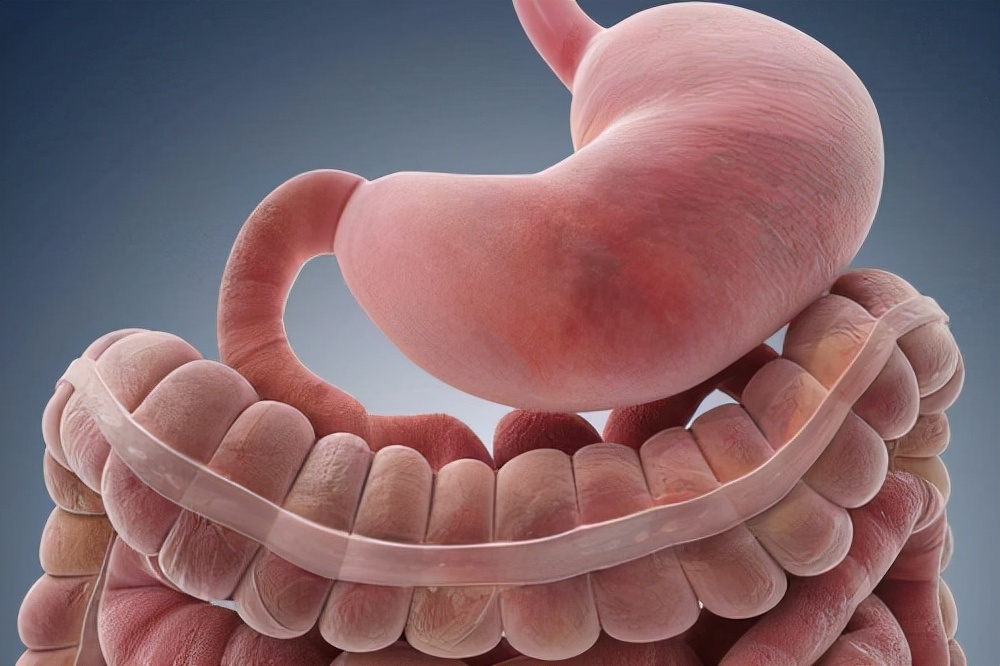 胃病不能吃哪些避免分泌胃酸,慢性胃炎胃酸多吃饼干还是面包好