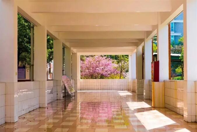 昆山地区十强中学,昆山市排名前十的中学有哪些