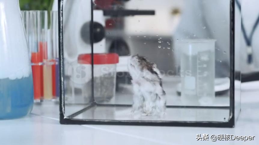 美国的冠状病毒阴谋初现，隐藏在时间线背后的“灭霸响指”试验？