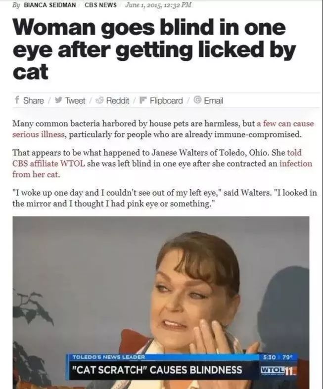 辟谣:养猫会得猫抓热?猫抓热到底是什么病?你家猫咪患上了吗?