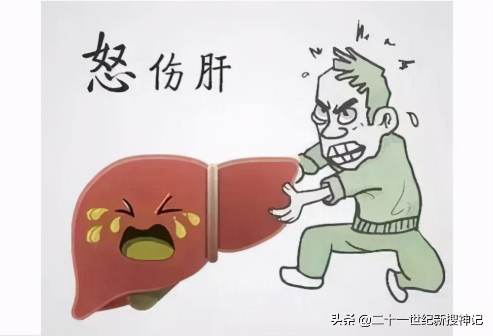 性命之谜28集,性命之谜第一集