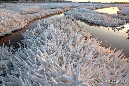 你可能从没意识到，原来这些东西也是*物文**