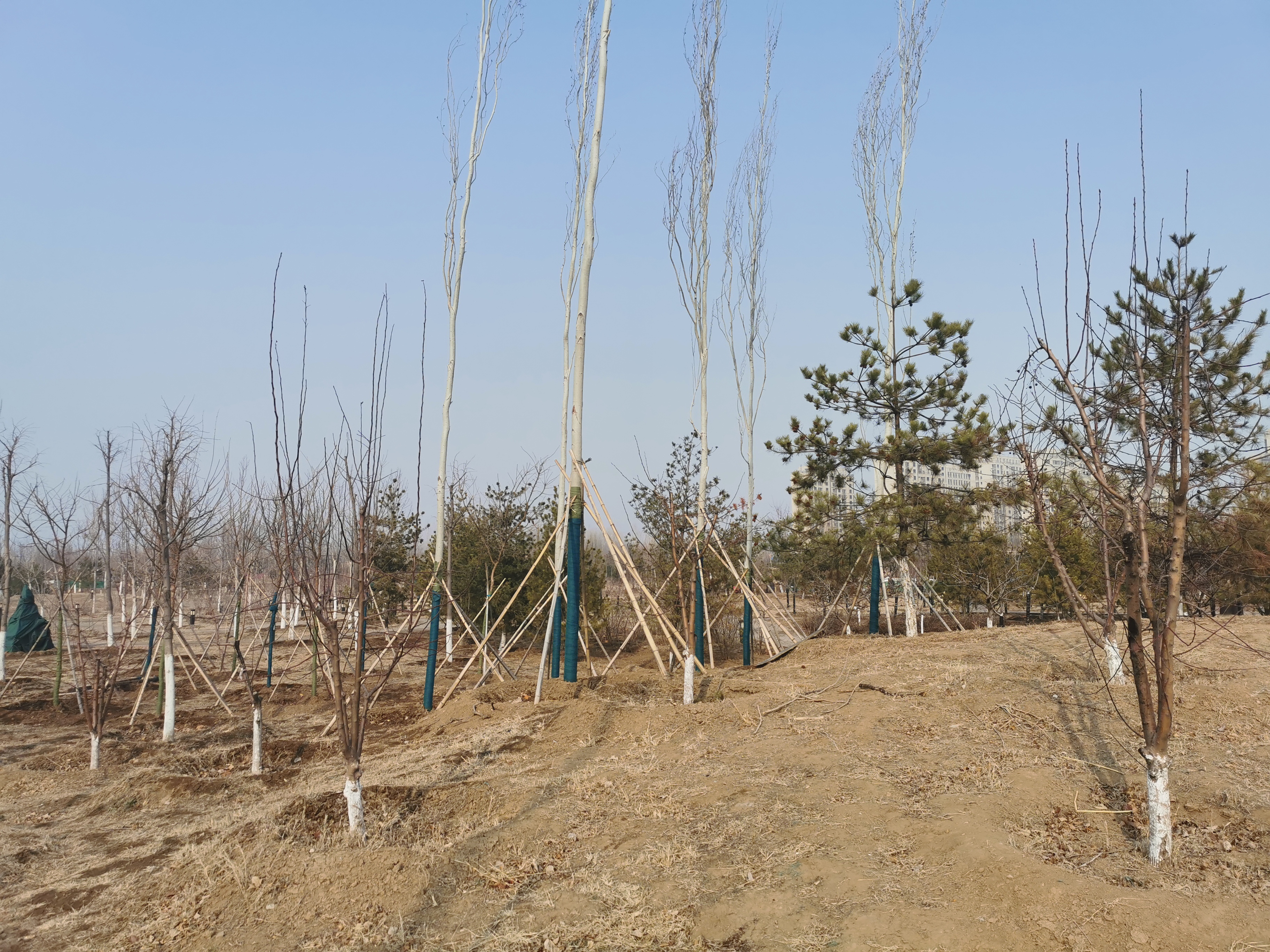 比亚迪唐驾驶基本知识,比亚迪唐驾驶技巧图解