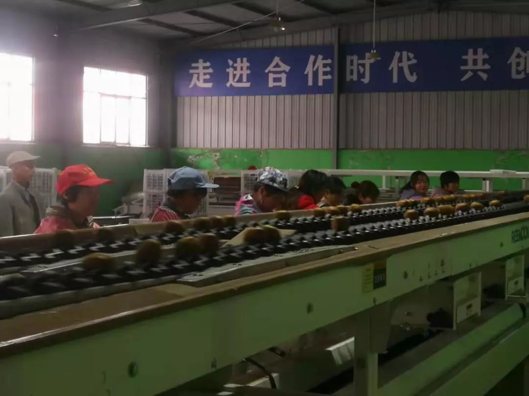 “团团大集”已近尾声，还没购置年货的小伙伴继续购购购