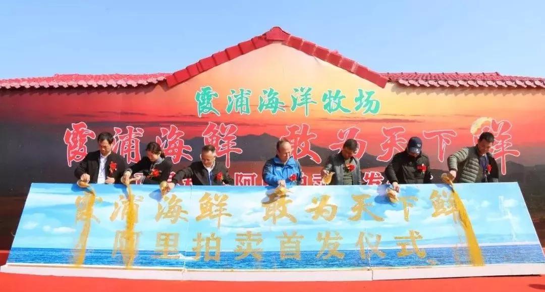 福建霞浦县：立足特色，培育品牌，农特产品插上电商之翼