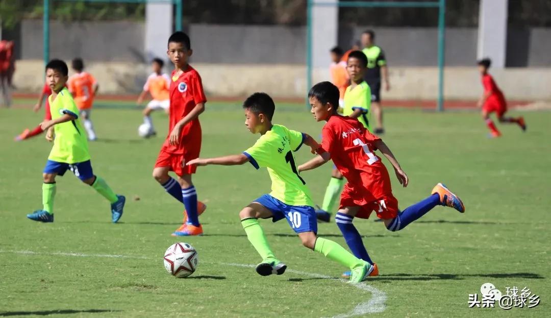 区中小学足球联赛,体教融合杯中学篮球赛