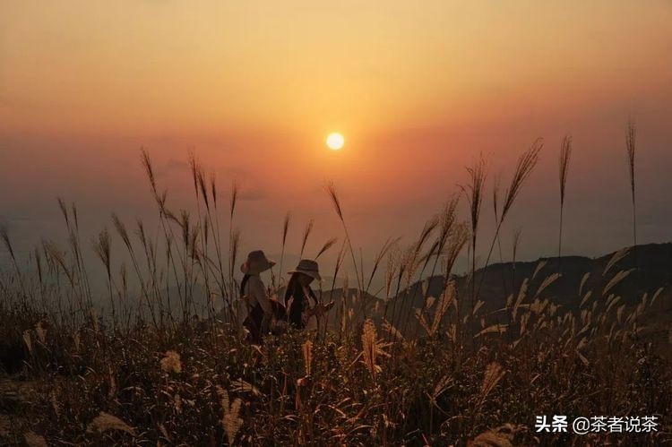 浅议品质管理,浅议宋朝文化