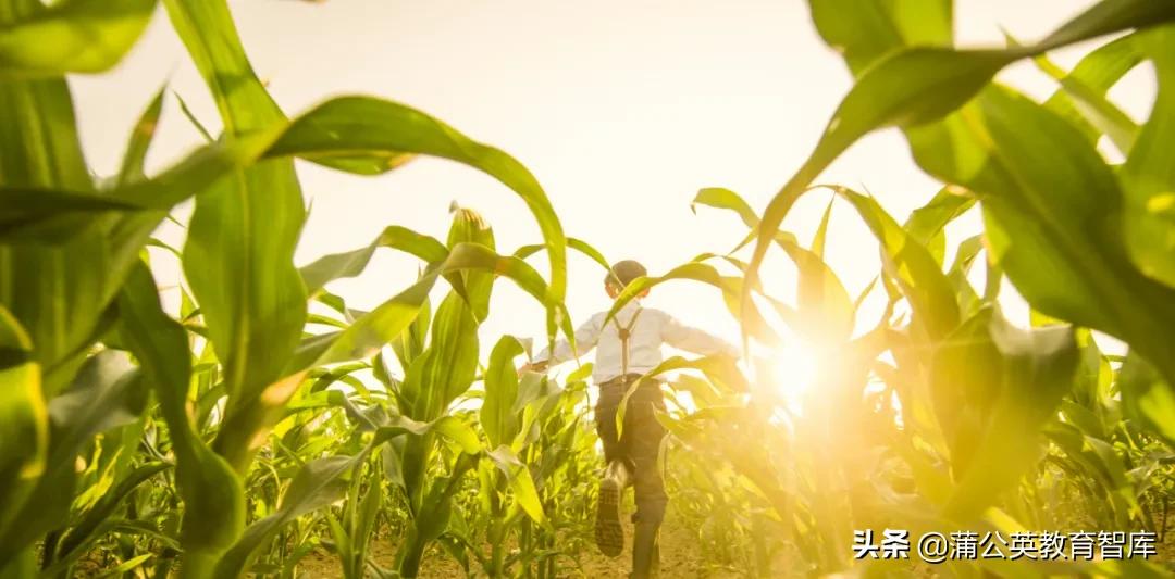 寒假劳动教育清单怎么填,教育部中小学劳动教育任务清单