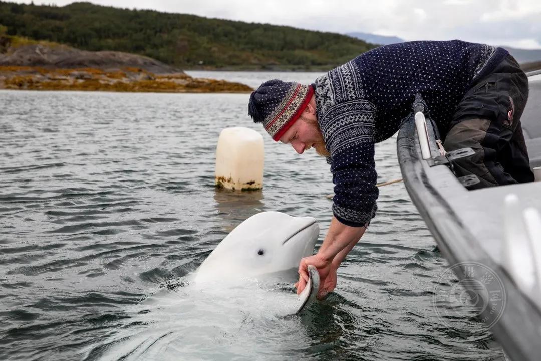 2022索尼世界摄影大赛自然类 (索尼世界摄影大赛自然组作品精选)