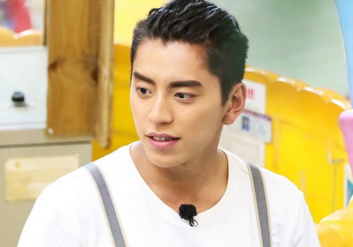 8位爱国的台湾省明星艺人,公开发表爱国言论的台湾明星