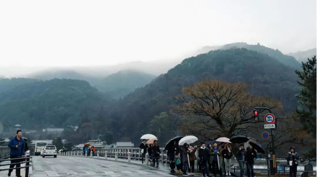 王思聪和李易峰关系有多好,王思聪和李易峰的区别