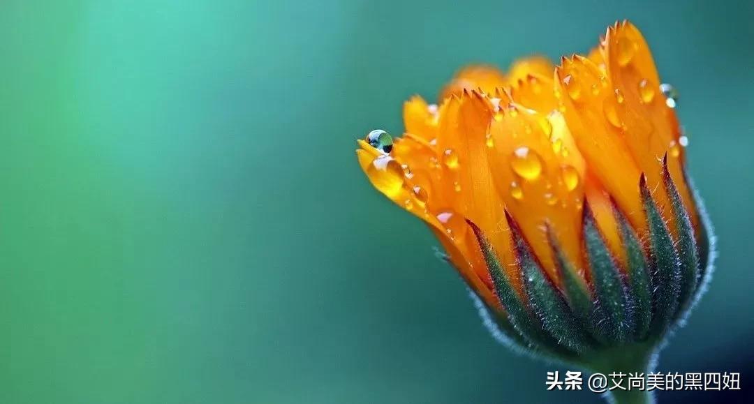 直播销售化妆品技巧和话术大全,普通化妆品和名牌化妆品对比话术