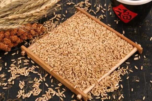 吃什么对头发的生长有好处,什么食物吃了对头发最好