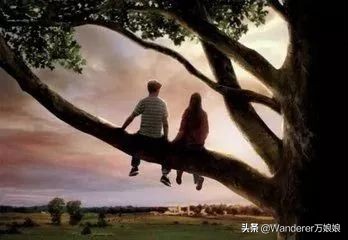 大学生必看100部英语电影,55部最适合学英语电影