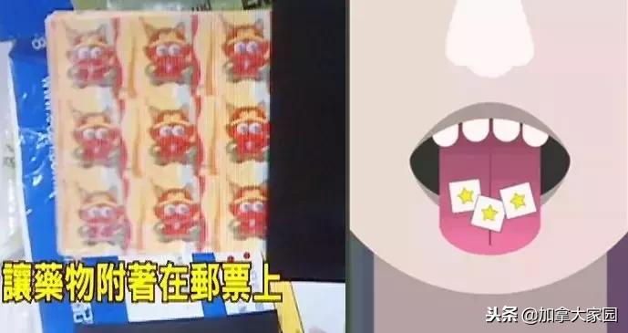 中国女留学生吸“笑气”成瘾：一年花十几万，瘫痪，坐轮椅回国！