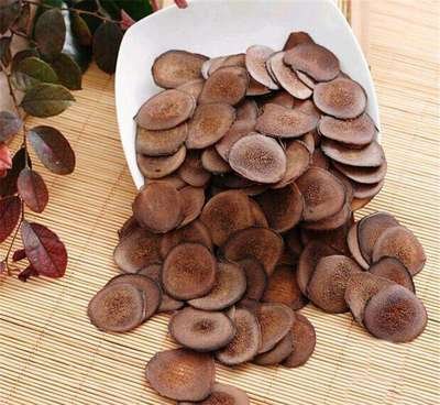 如何挑选鹿茸蜡片,鹿茸二杠怎么挑选