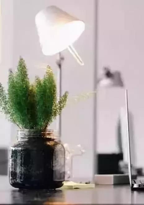 曼妙姝人项目介绍