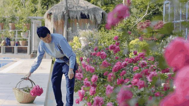 腾讯高管辞职隐居,腾讯元老隐居合肥