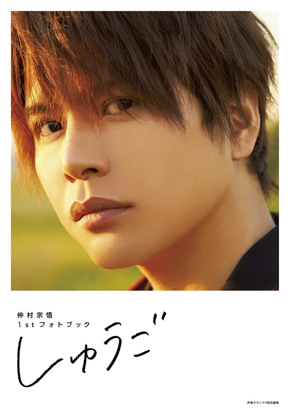 2019年发售的男性声优写真集一览,男性声优写真集