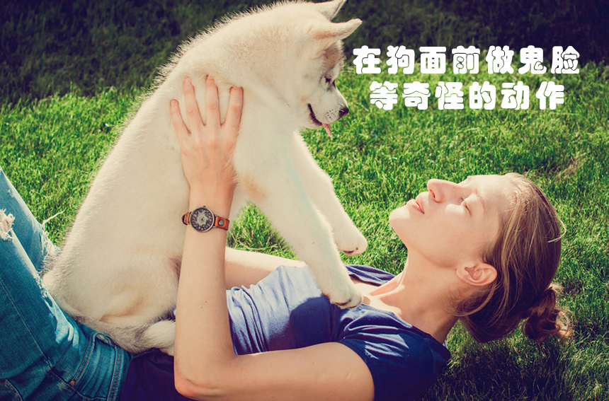 世界各地奇葩的禁令,世界十大奇怪法规