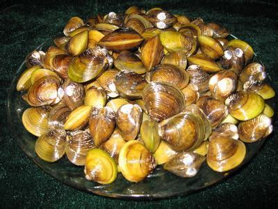 辽宁大连市城市排名,辽宁大连城市