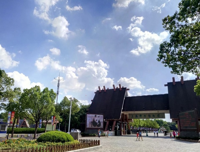 上海松江区亲子游玩地点推荐,上海亲子骑行路线推荐