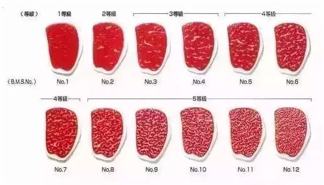 日本“国宝级精液”差点进入中国，吓坏了日本人