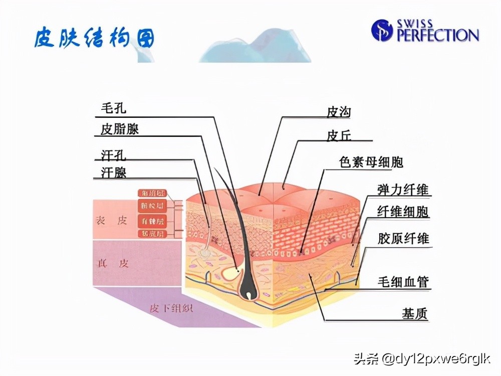 拉皮除皱明显的优点,拉皮除皱手术真的有效吗