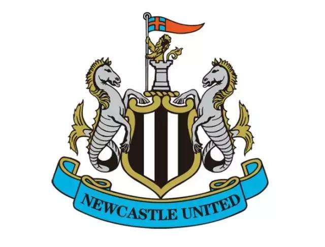 纽卡斯尔大胜谢菲联,纽卡斯尔土豪阵容