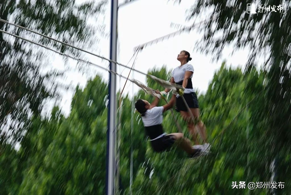 全国运动会精彩视频,锦标赛名场面