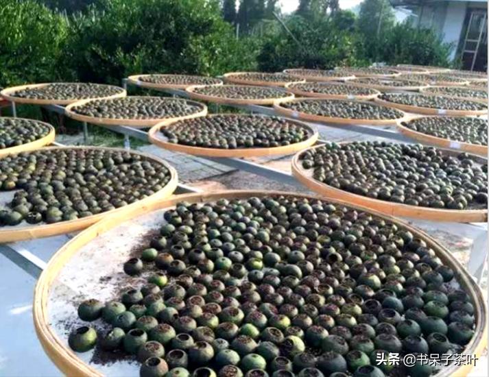 不贪小便宜,不交智商税,阿呆教你如何挑小青柑