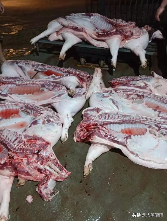 老屠夫猪肉分割技巧,买肉时怎么选择好猪肉