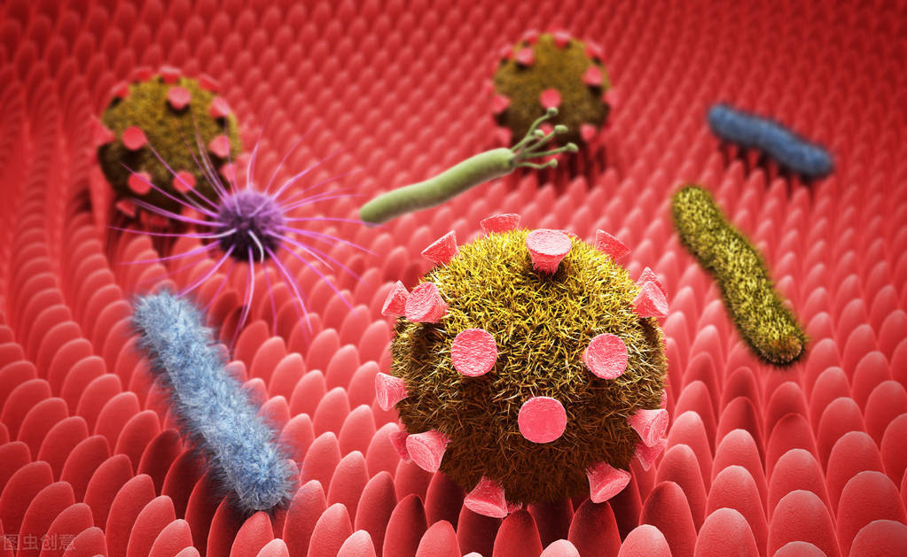 宠物医院套路深怎么办,揭秘无良宠物医院套路