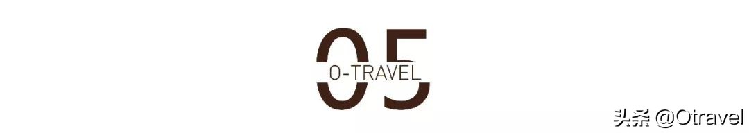 您眼中的深圳是怎么样的？