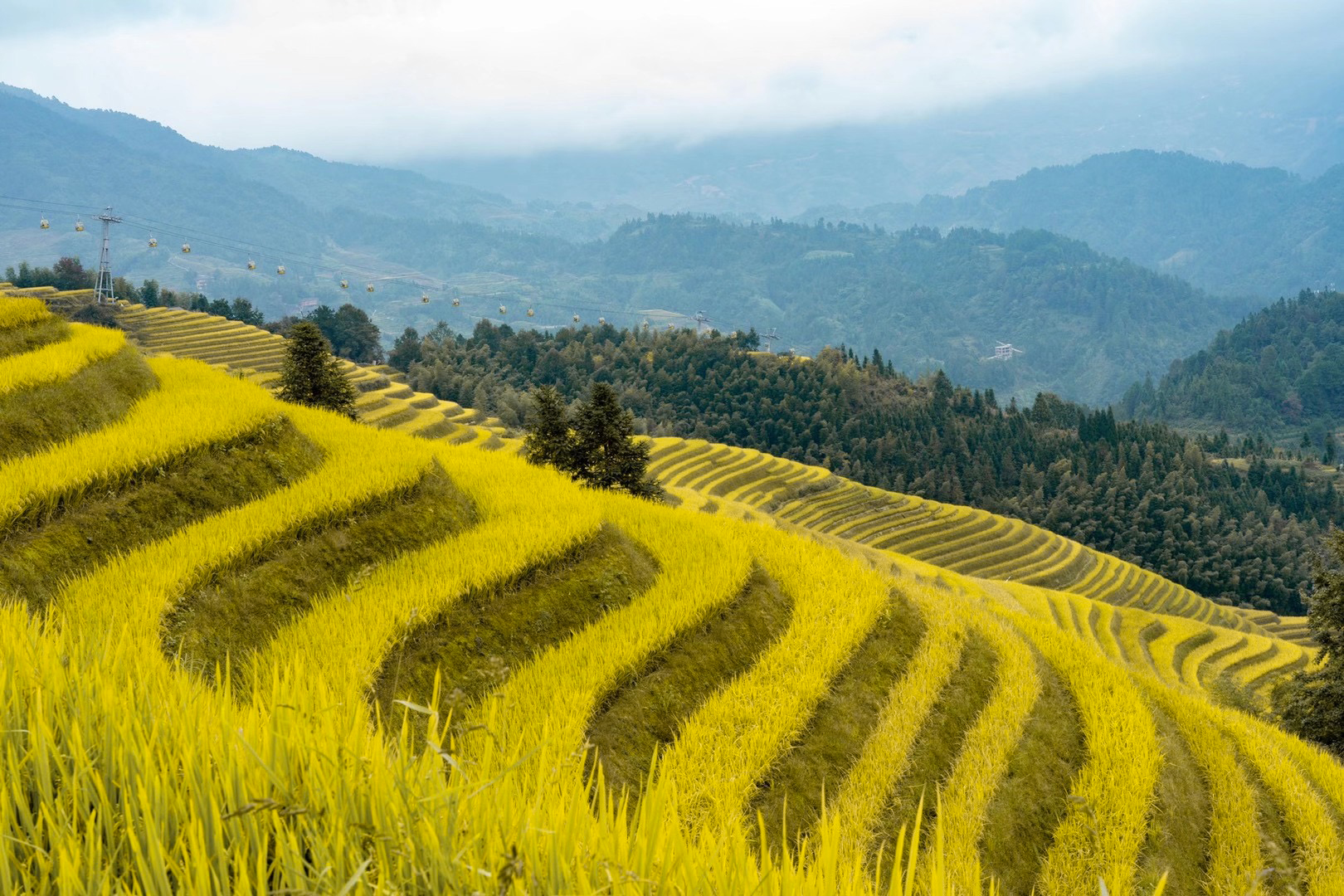 世界奇观龙脊梯田视频,世界梯田之冠桂林龙脊梯田