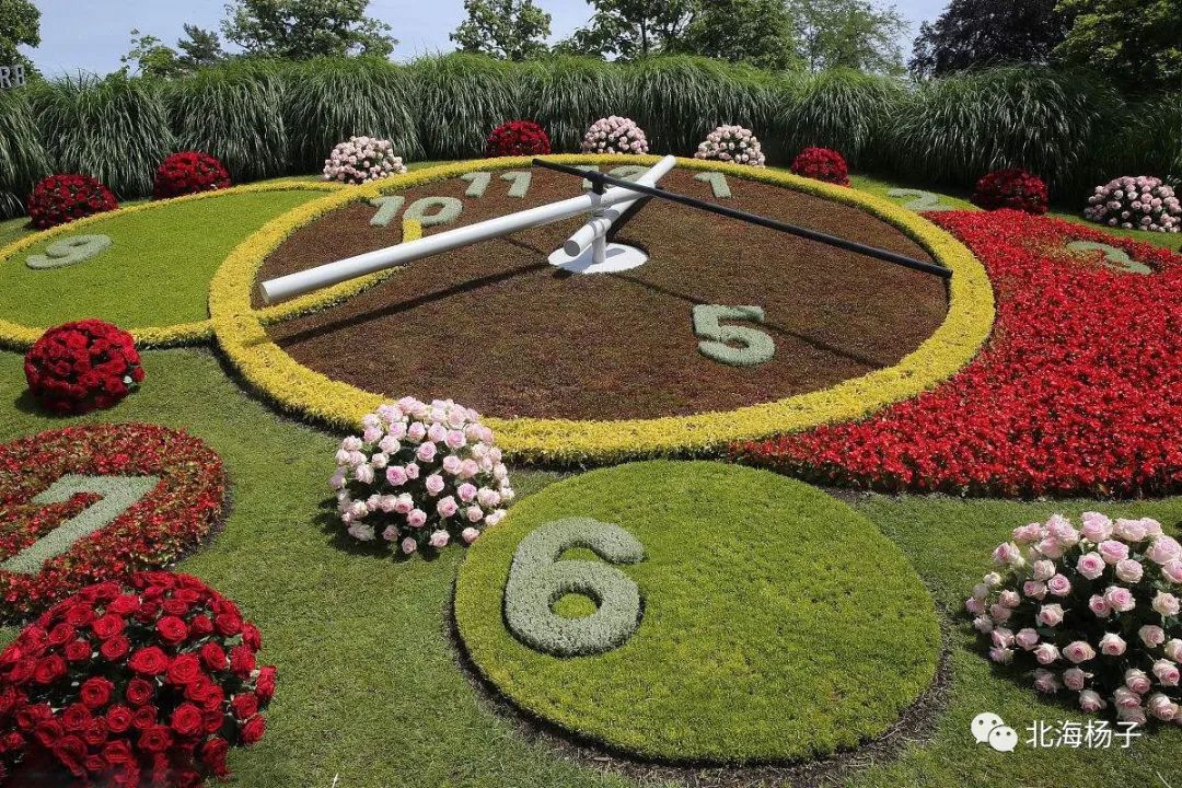 中国气候宜居城市2021,2021亚洲最宜居城市