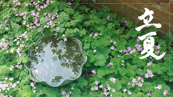 东莞董大炜|夏季防蚊大作战，请收下这款纱窗