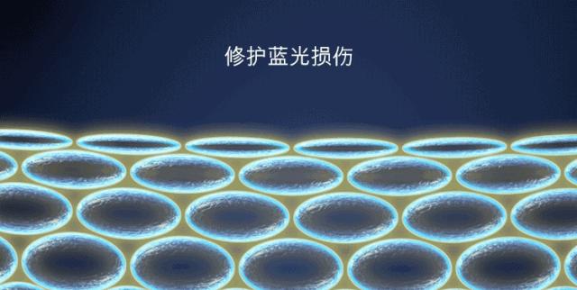 雅诗兰黛日本产的眼霜,用了雅诗兰黛皱纹更明显了