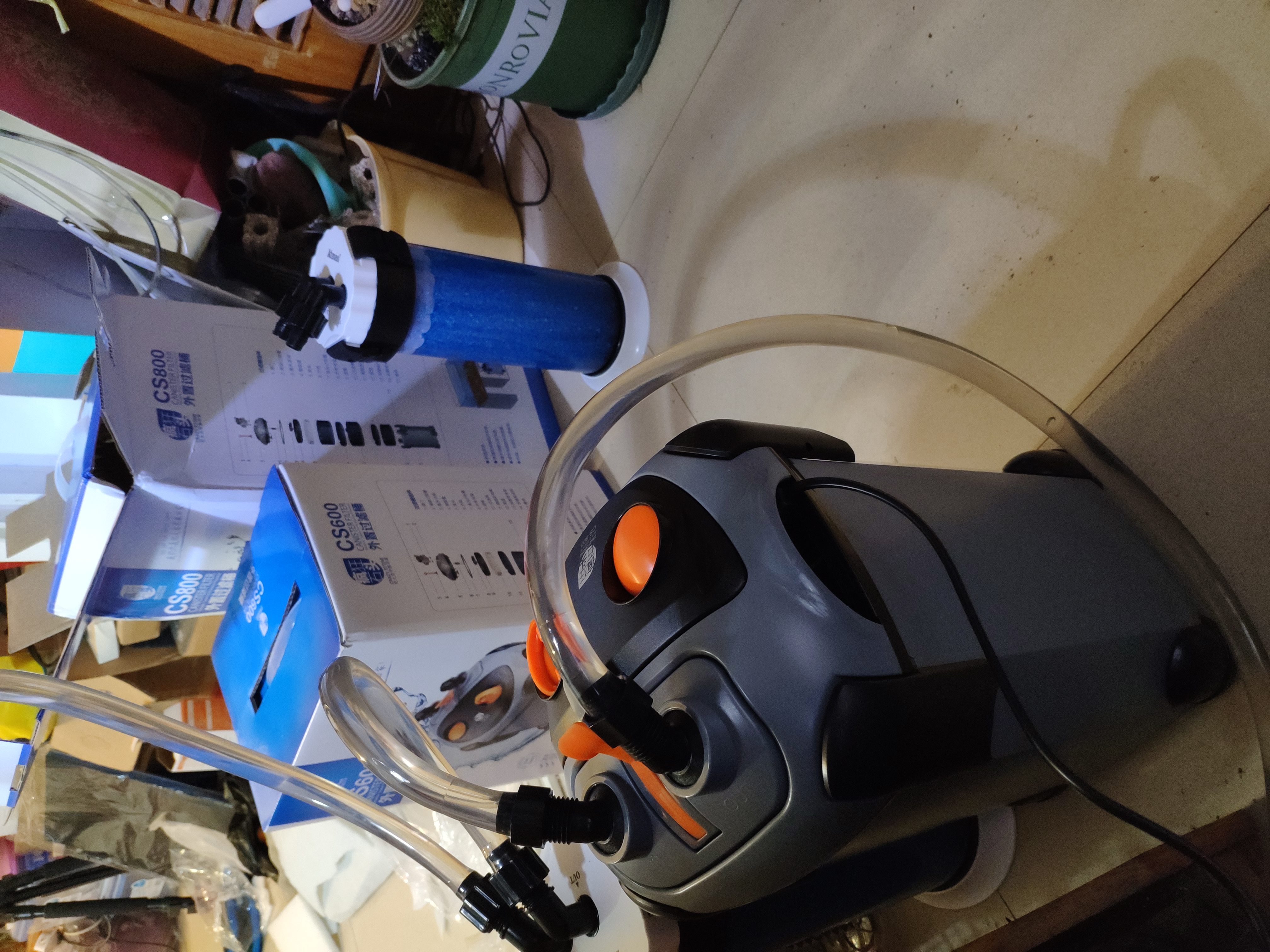 入坑草缸的两个作品,新手草缸用什么过滤最佳