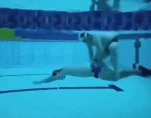 猫和老虎能杂交生育吗,猫和老虎可以生育吗